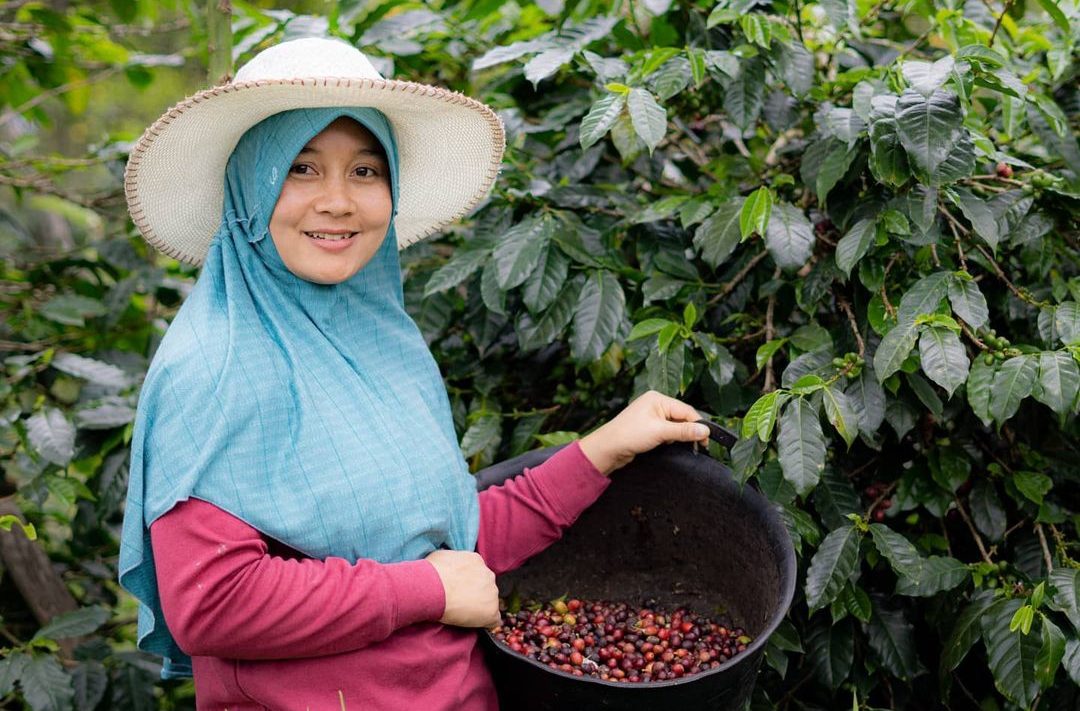 Kolaborasi Noka dan Alko Berdayakan Petani Kopi Kerinci