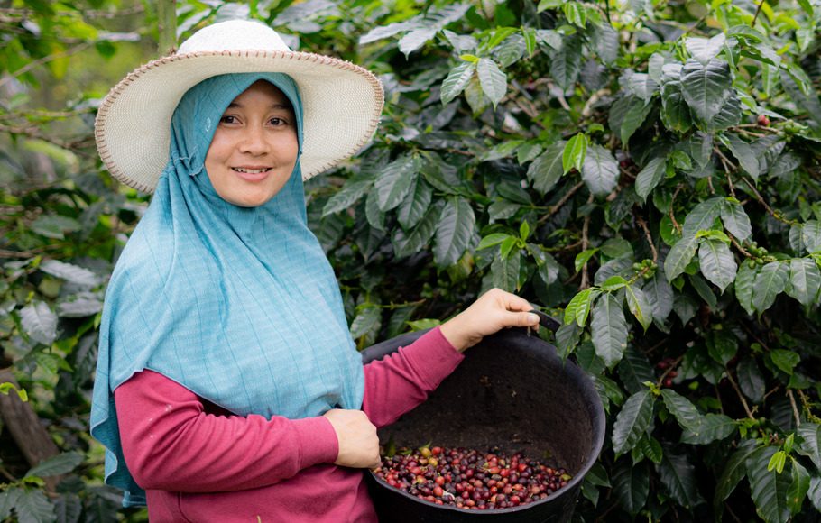 Ekspansi ke Padang, Noka Coffee Gandeng Alko Berdayakan Petani