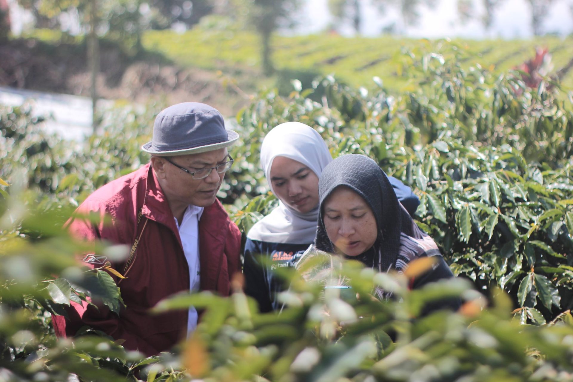 Perjalanan Kopi Speciality dan Keberlanjutan