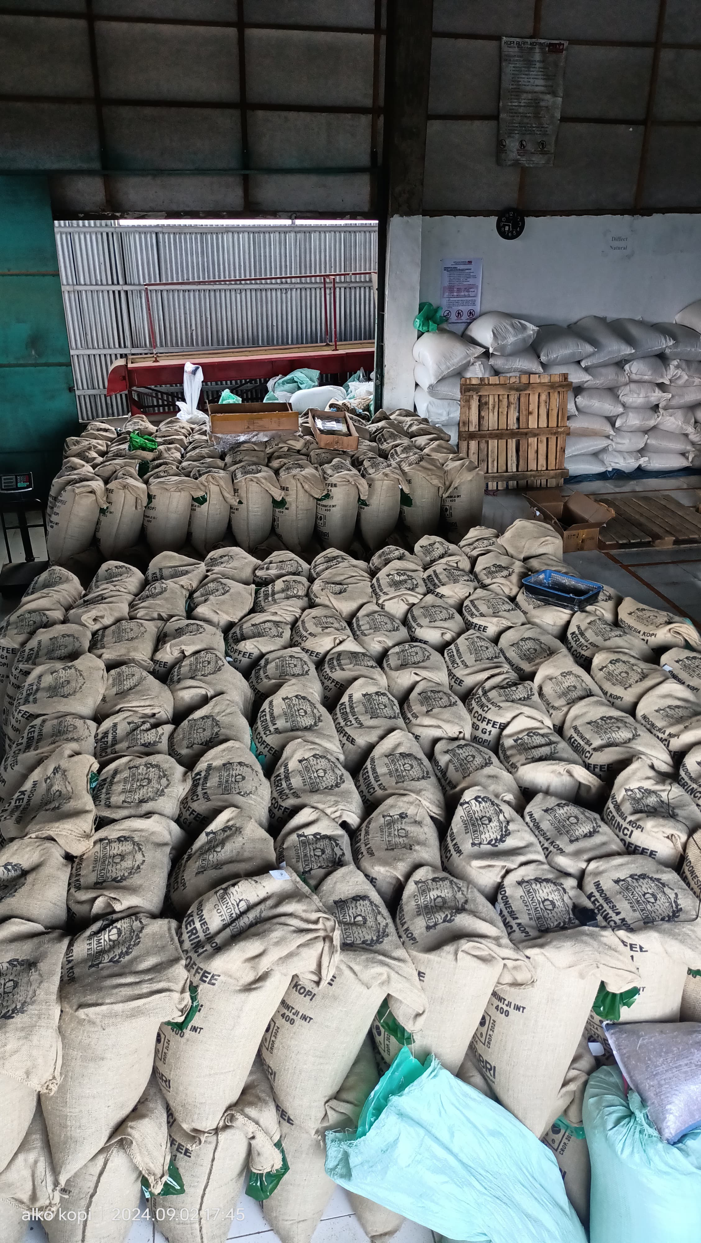 Pengiriman Rutin Kopi Indonesia dengan Standar Cita Rasa Tinggi ke Pasar Jepang oleh ALKO Sumatra International