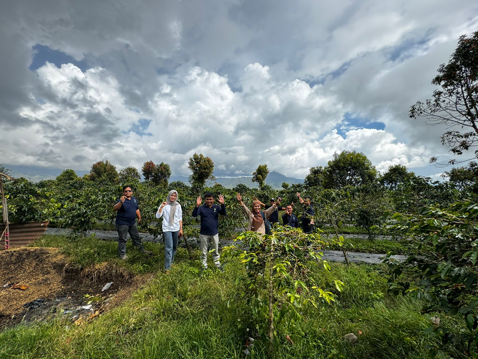 Kunjungan Ke Alko Bahas Pengolahan, Standarisasi, dan Pengembangan Agroforestri Kerinci Bersama KPHP Kerinci dan Agam Raya