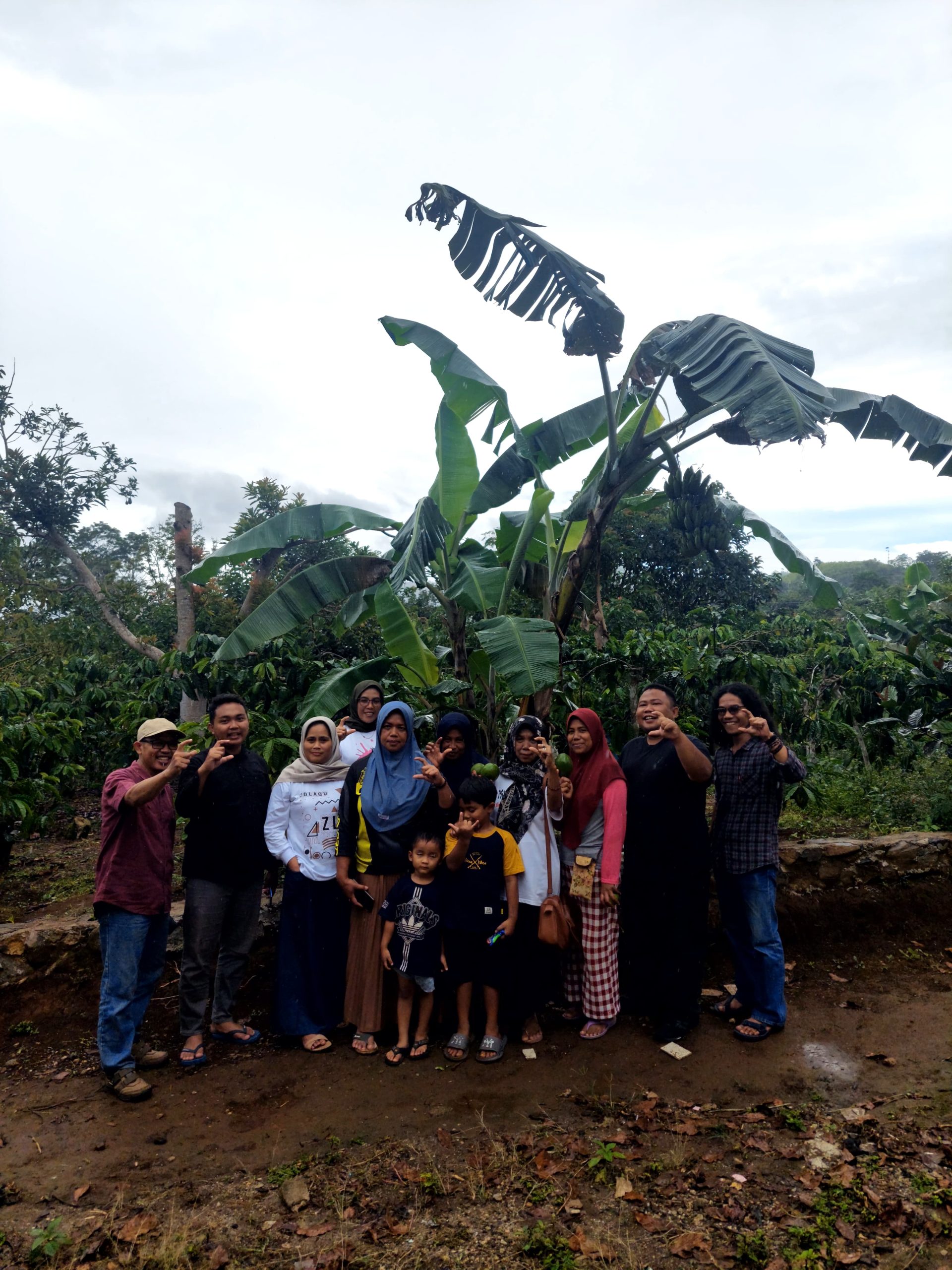 Ulu Belu: Kopi Robusta dengan Sentuhan Agroforestri