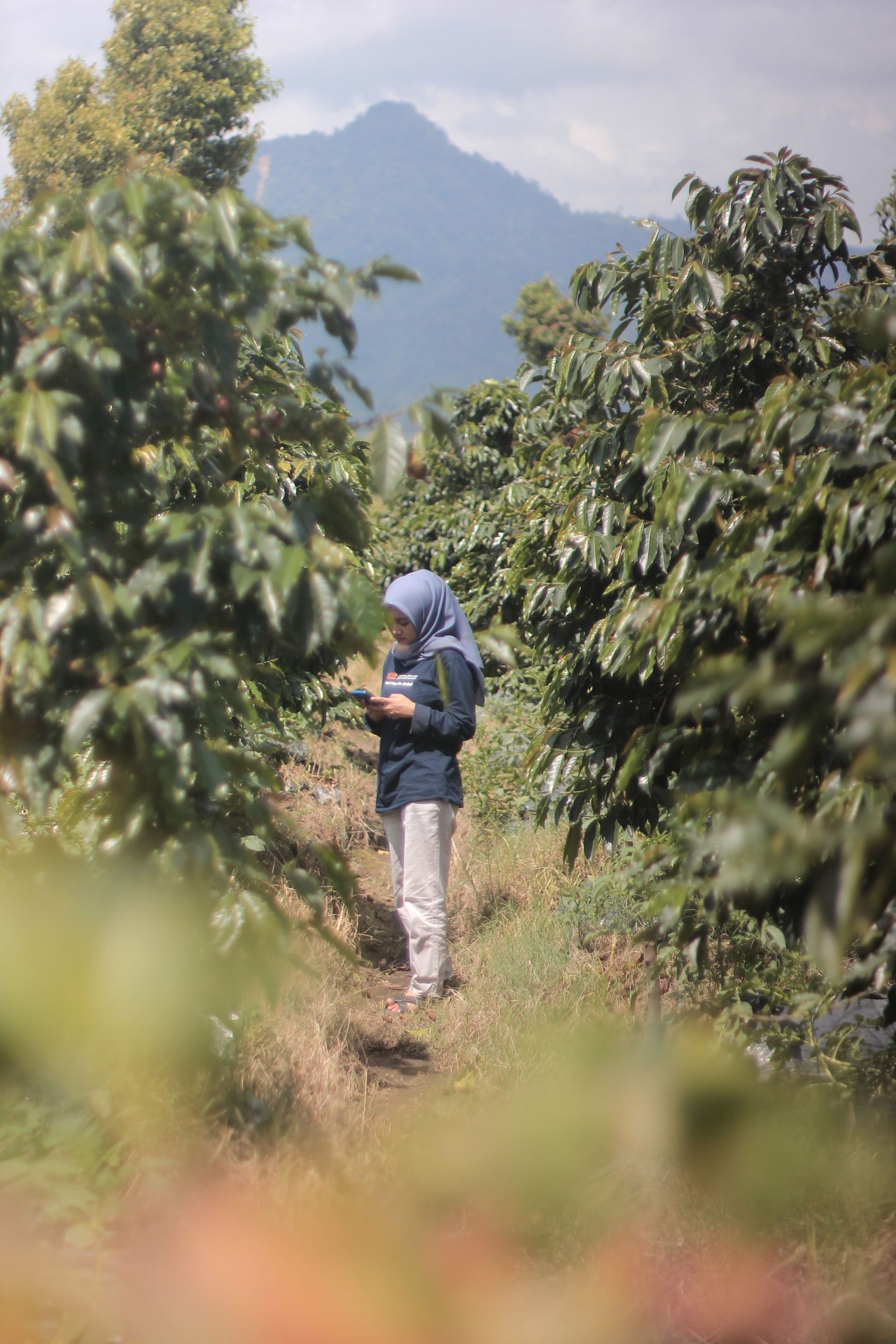 Merasakan Kopi Specialty dengan Ketelusuran Tanpa Batas