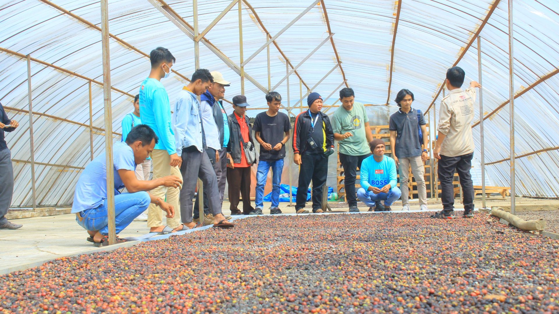 Membangun Ekosistem Kopi Berkelanjutan di Kerinci: Peran ALKO dalam Pemberdayaan Komunitas