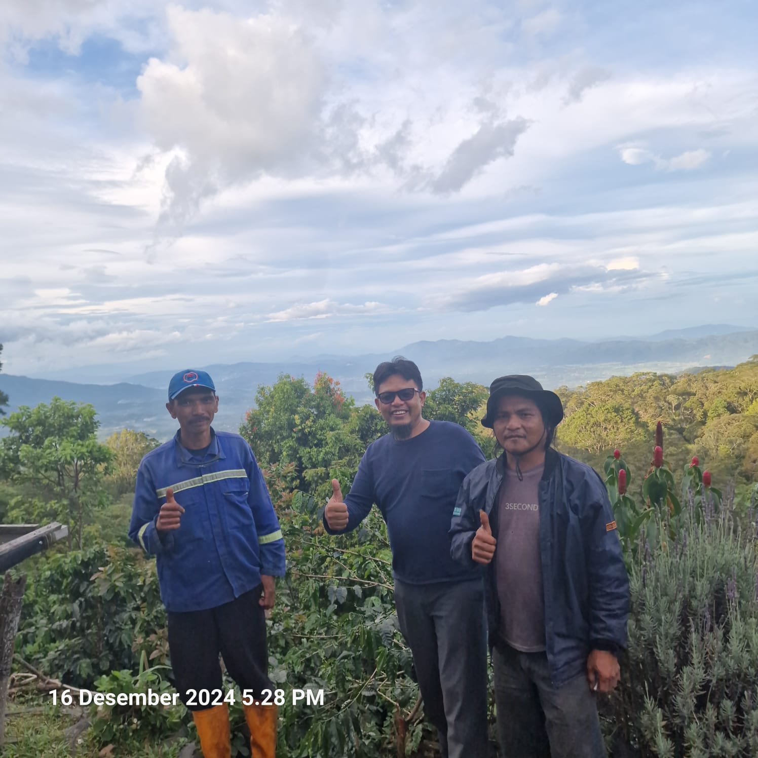 ALKO Kunjungi Bukik Gompong Coffee