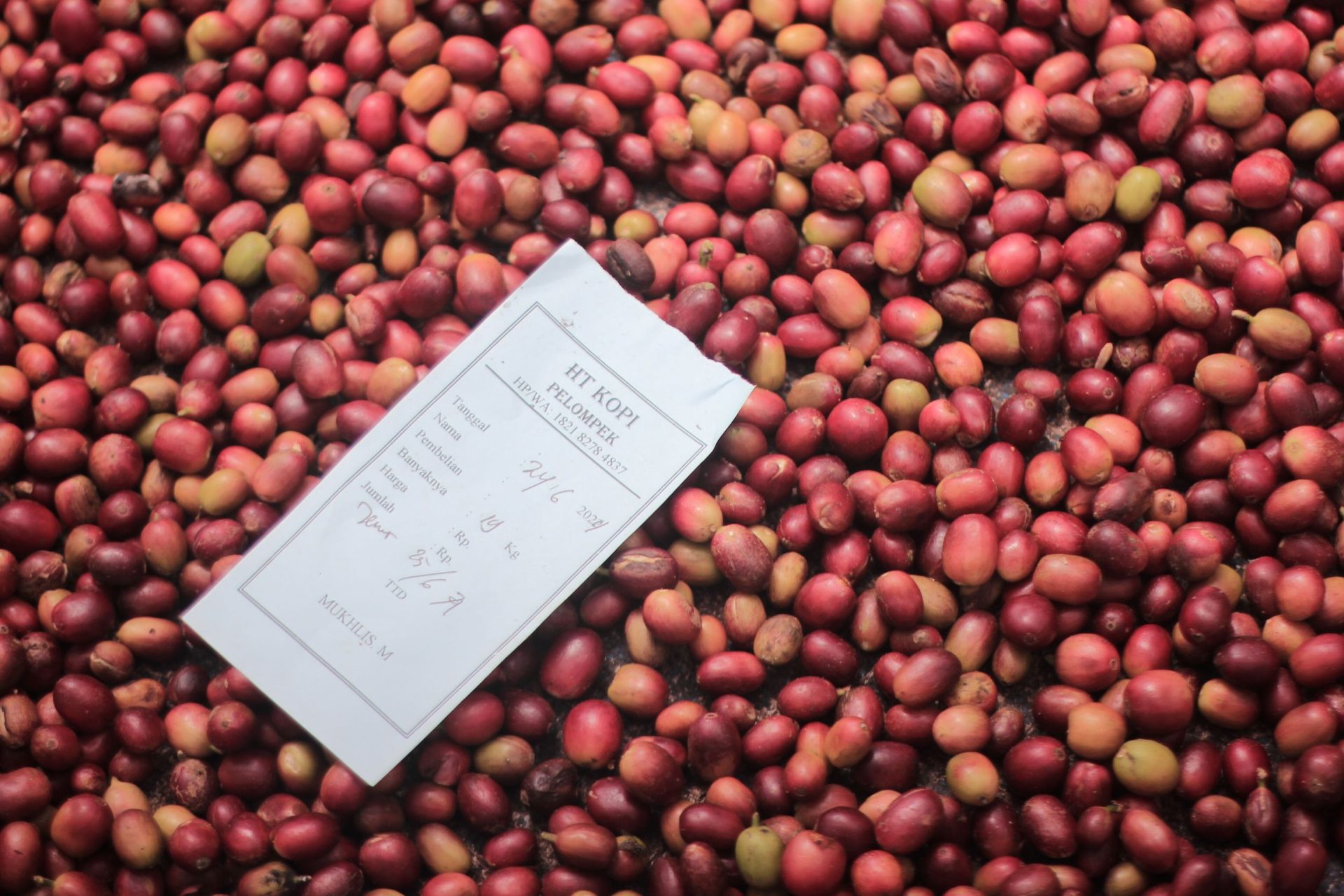 Digitalisasi dan Traceability dalam Rantai Pasok Kopi ALKO
