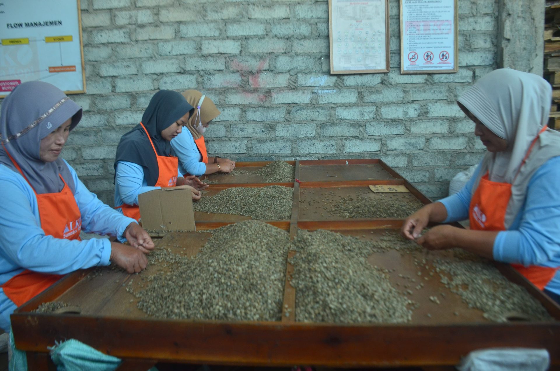 Perempuan di Balik Rantai Pasok Kopi ALKO: Pilar Keberlanjutan dan Inovasi