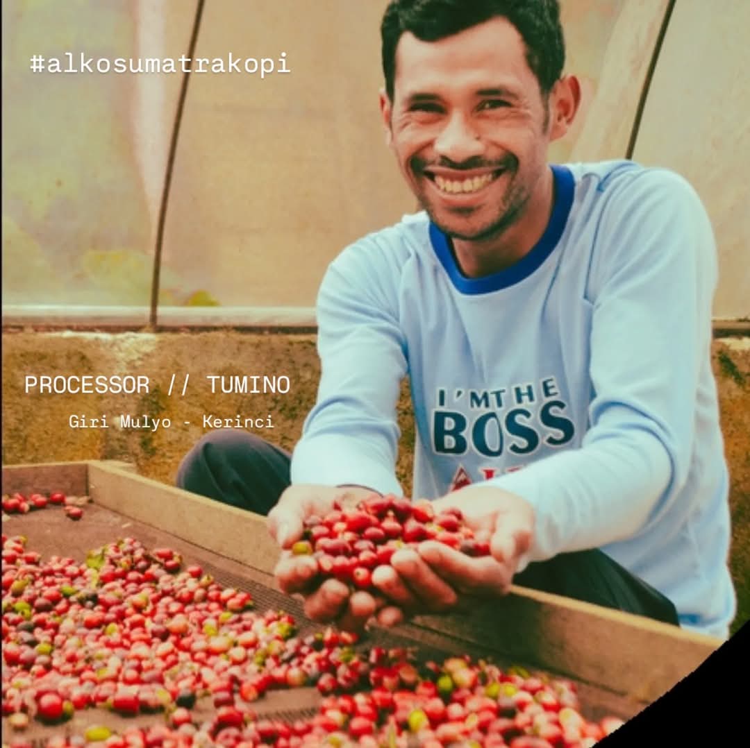 Profil Tumino: Petani Kopi Kerinci yang Membawa Keberlanjutan dan Kualitas ke Pasar Global