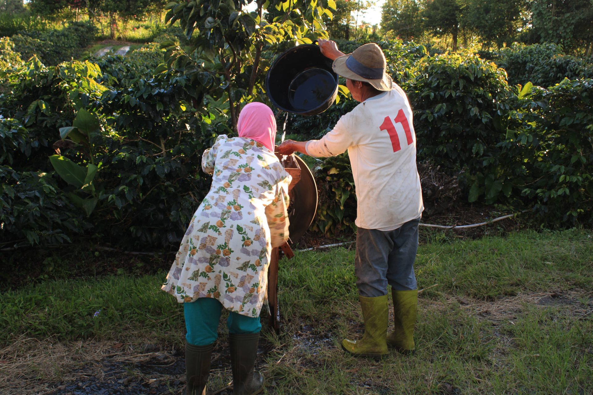 "Transformasi Kopi Kerinci: Inovasi, Digitalisasi, dan Keberlanjutan"