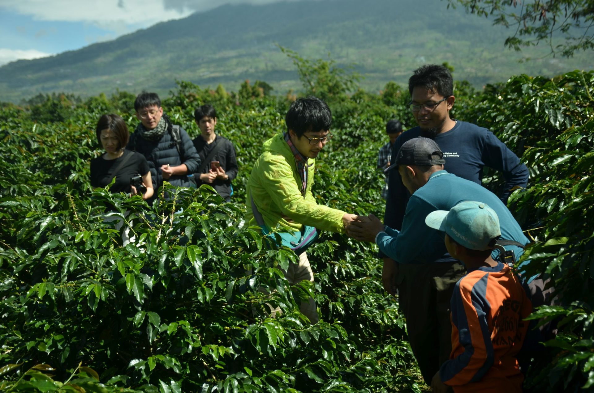 Misi Alko: Menghadirkan Kopi Berkualitas Tinggi dengan Dampak Positif bagi Lingkungan dan Sosial