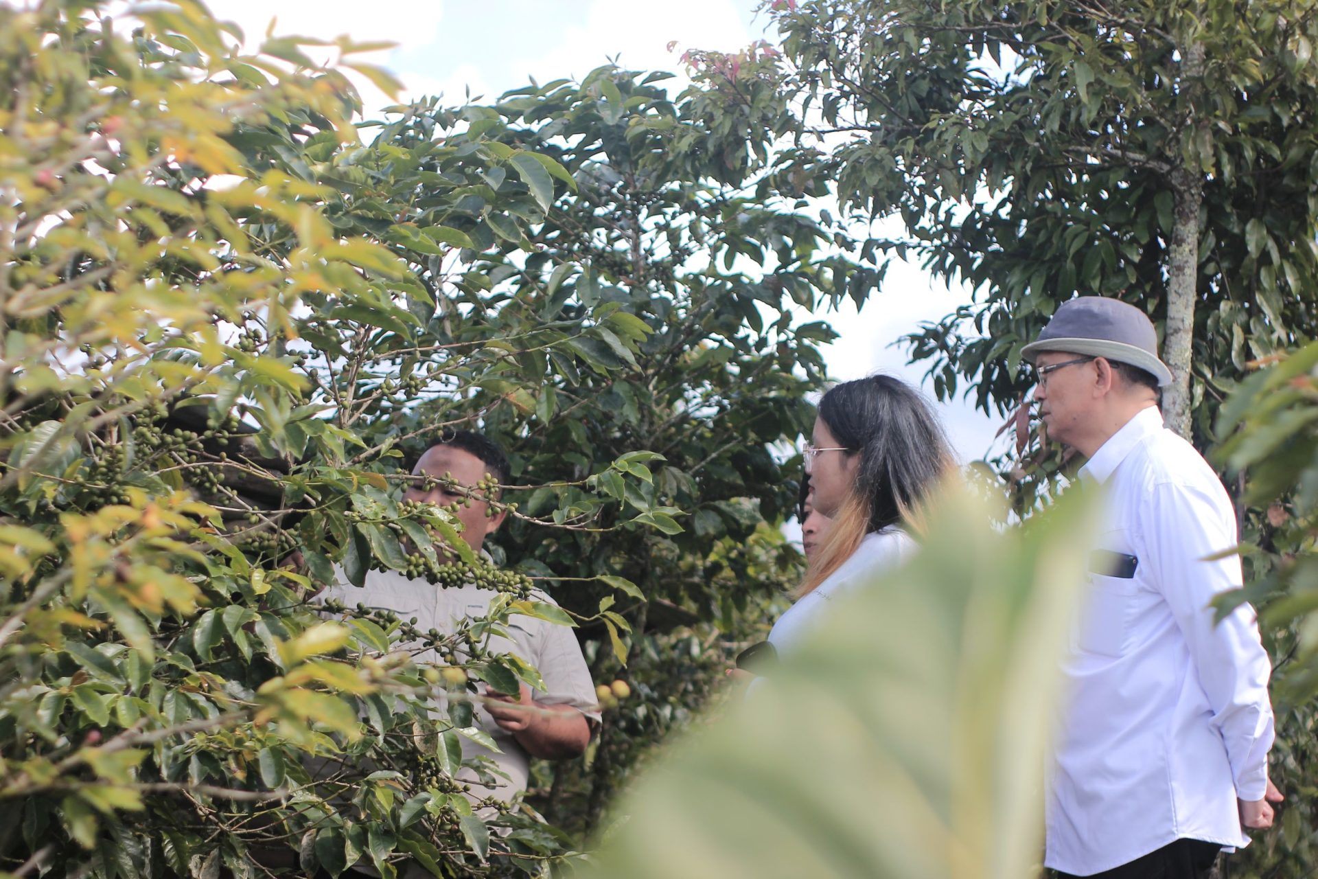 "Membangun Ekosistem Kopi Berbasis Kolaborasi dan Pemberdayaan SDM"