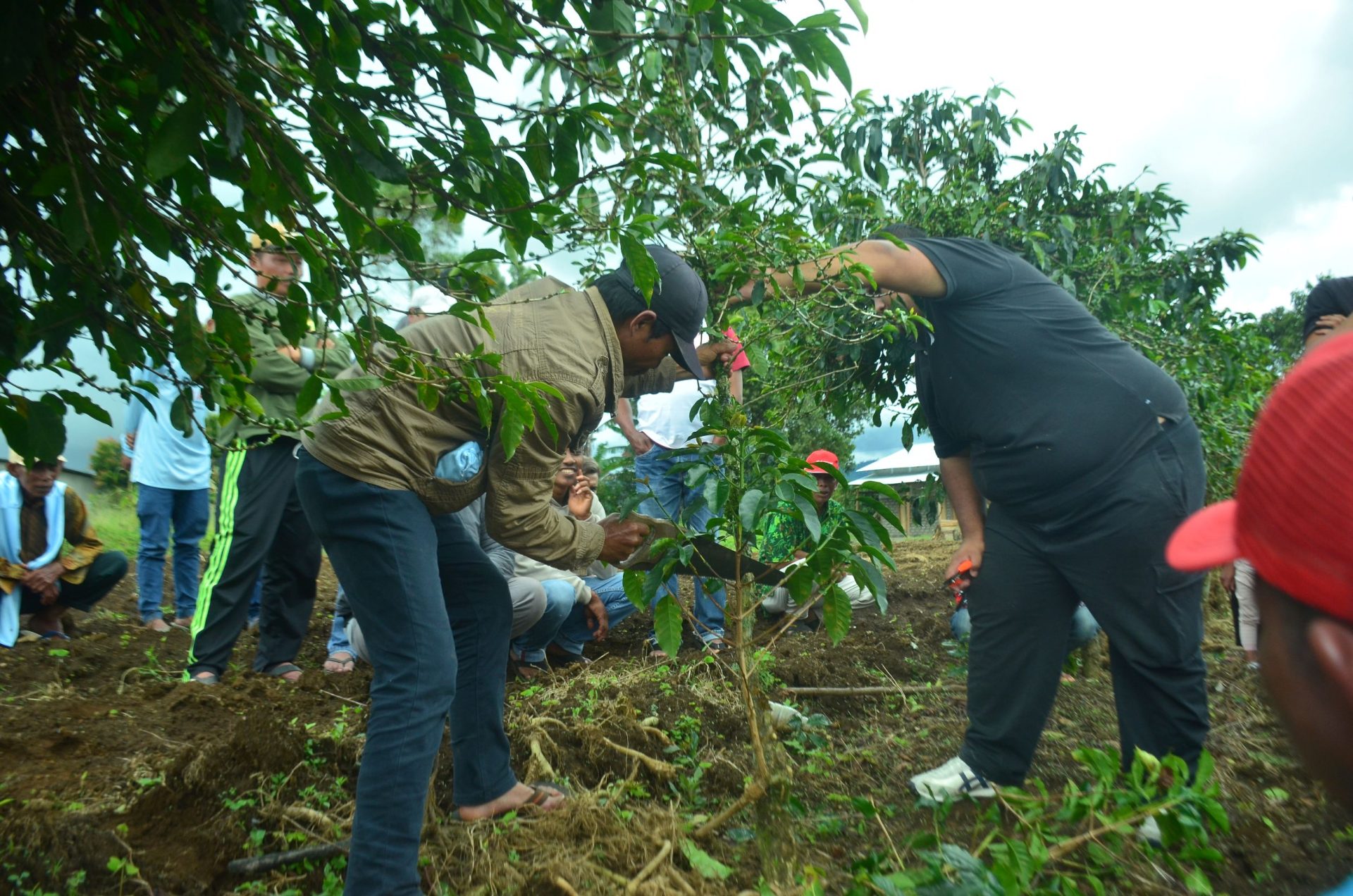 "ALKO Academy: Membangun SDM Kopi yang Profesional dan Berdaya Saing"