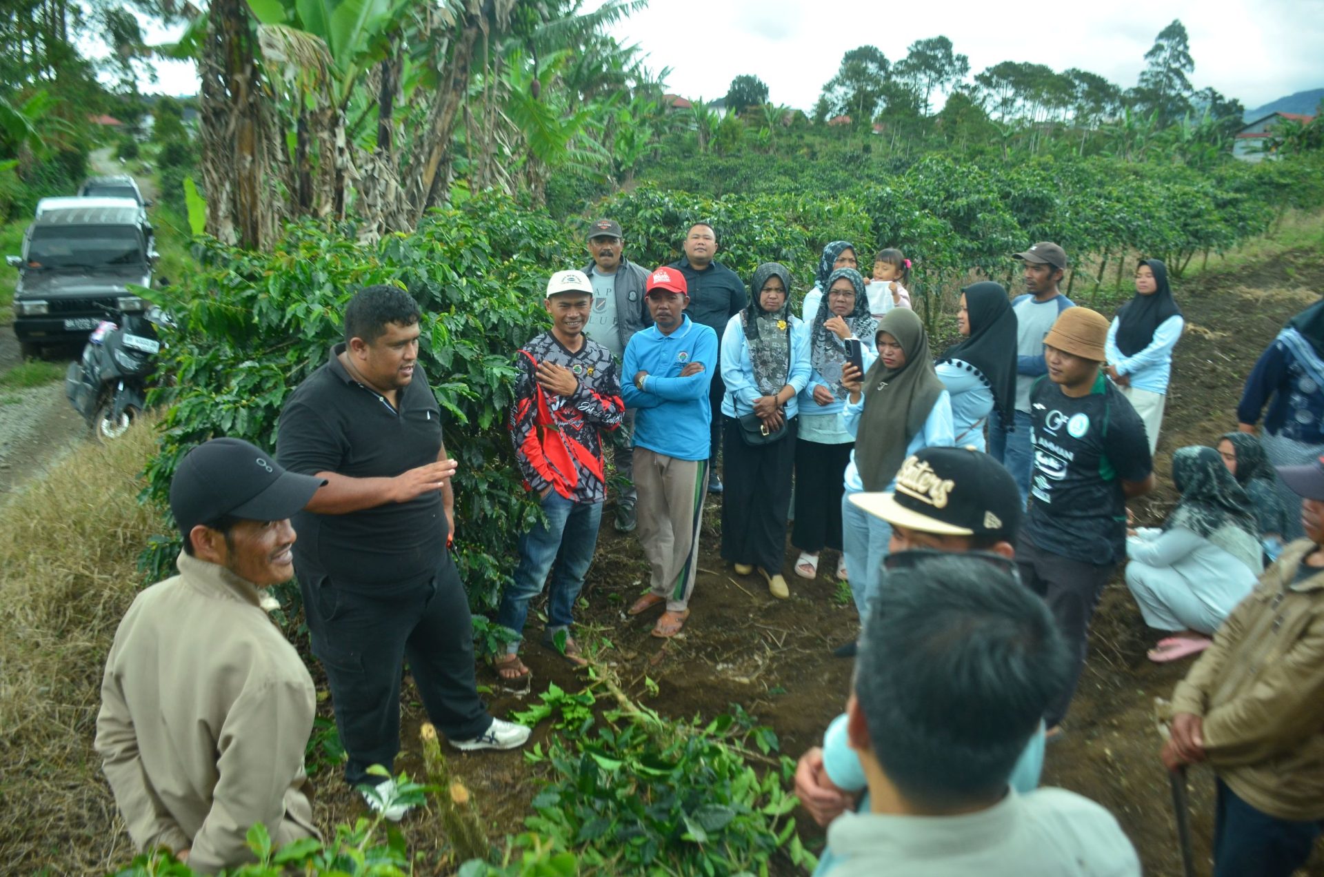 Kurikulum dan Pengembangan Budidaya serta Industri Kopi di ALKO