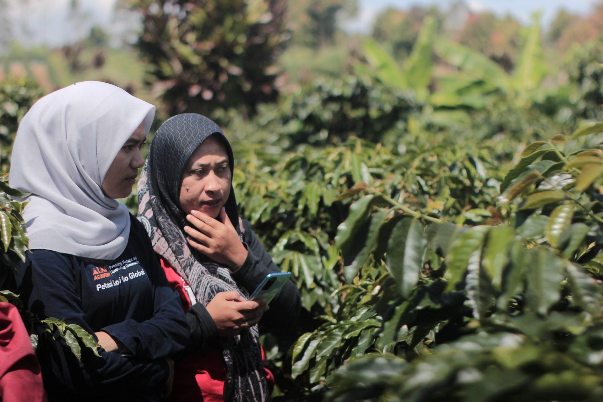 Transformasi Digital dalam Ekosistem Kopi ALKO