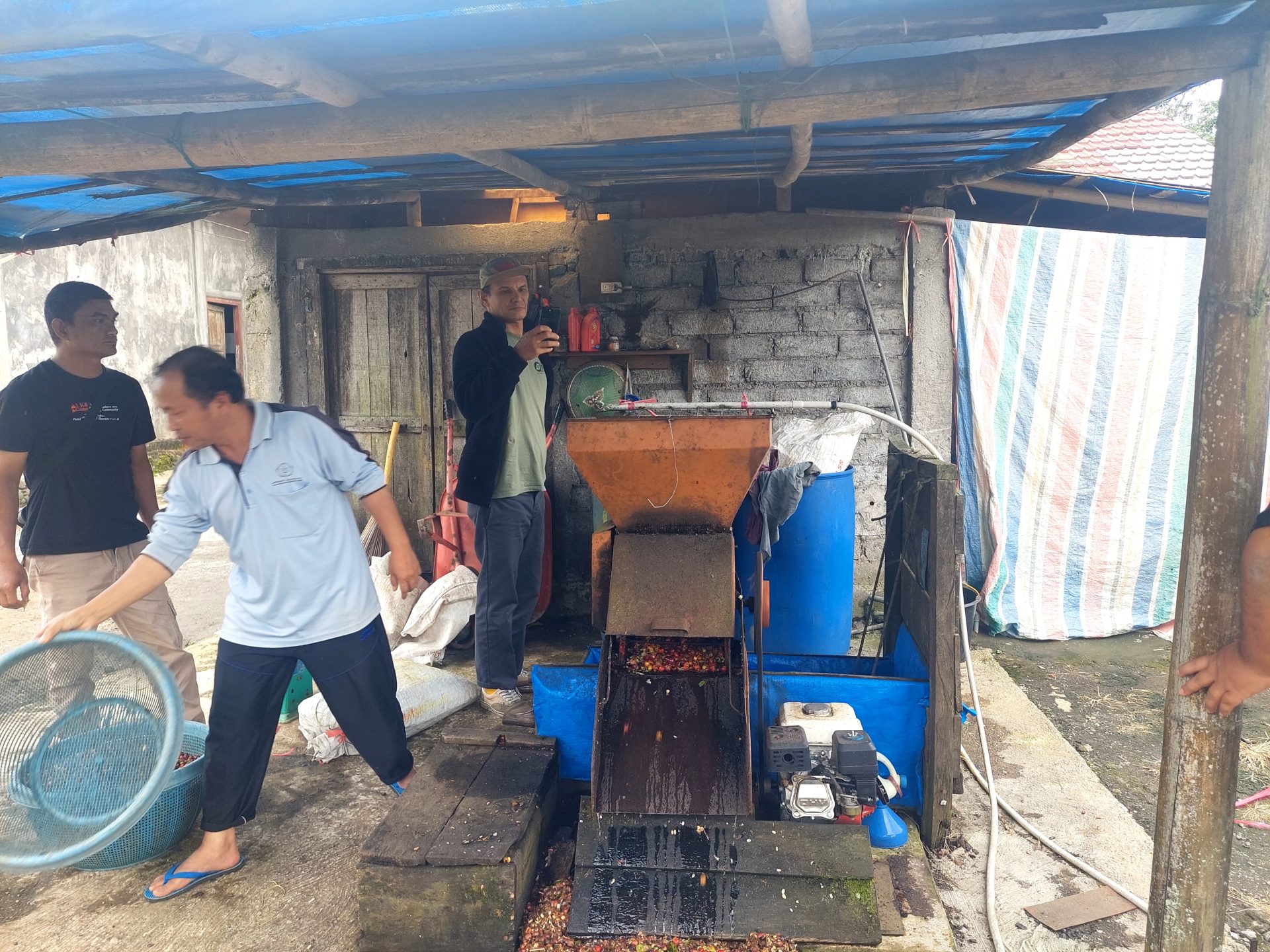 Mengenal Jenis Kopi Arabika Unggulan: Varietas Lokal Sumatera yang Mendunia