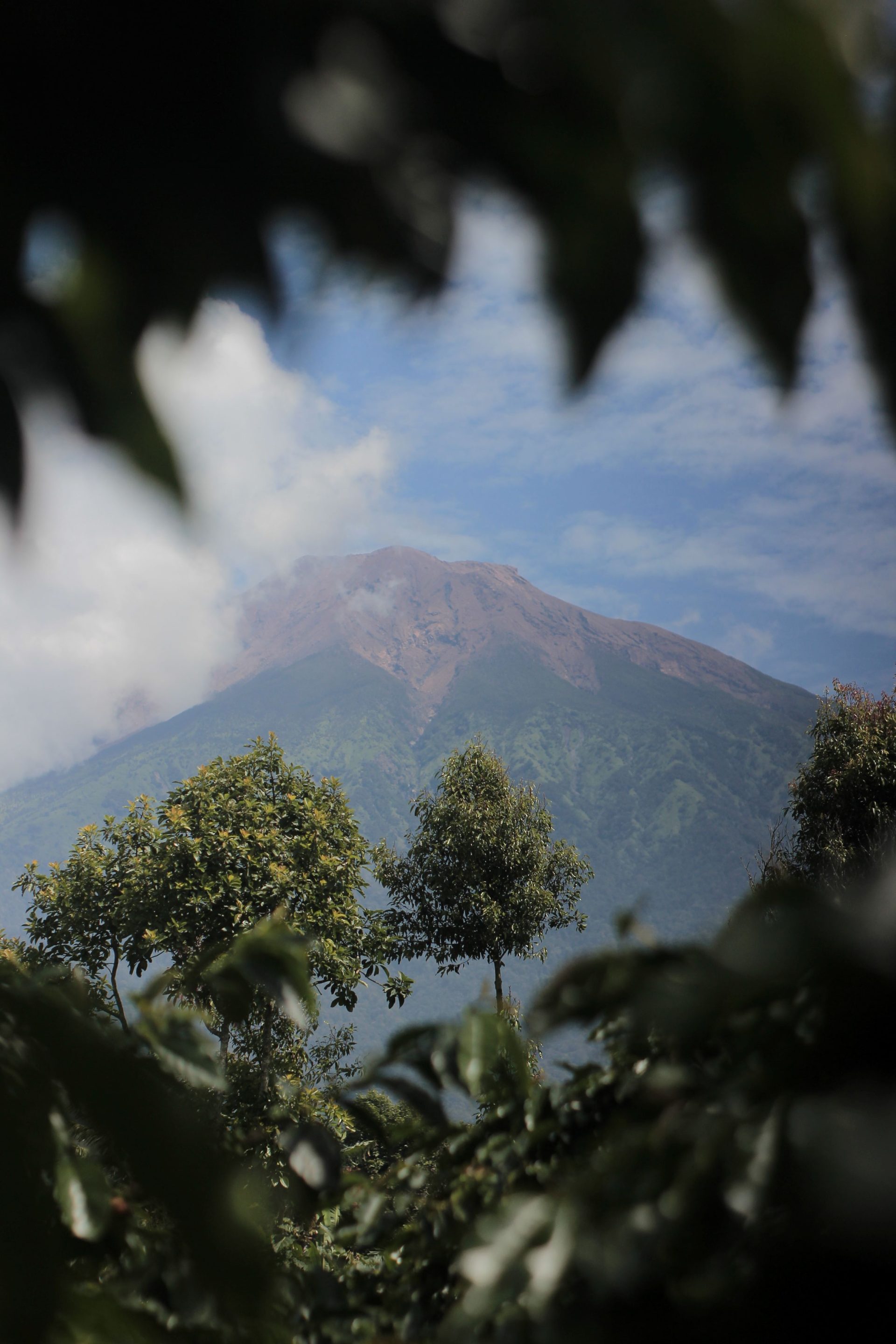 Kopi Sebagai Identitas dan Simbol Peradaban Korintji