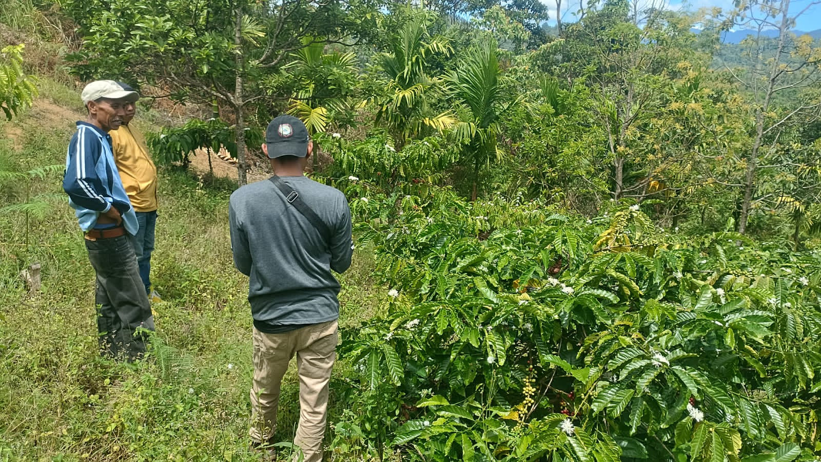 143 Petani Kopi di Sumbar dan Lampung Terdata: Langkah Awal Menuju Ekspor Perdana ALKO