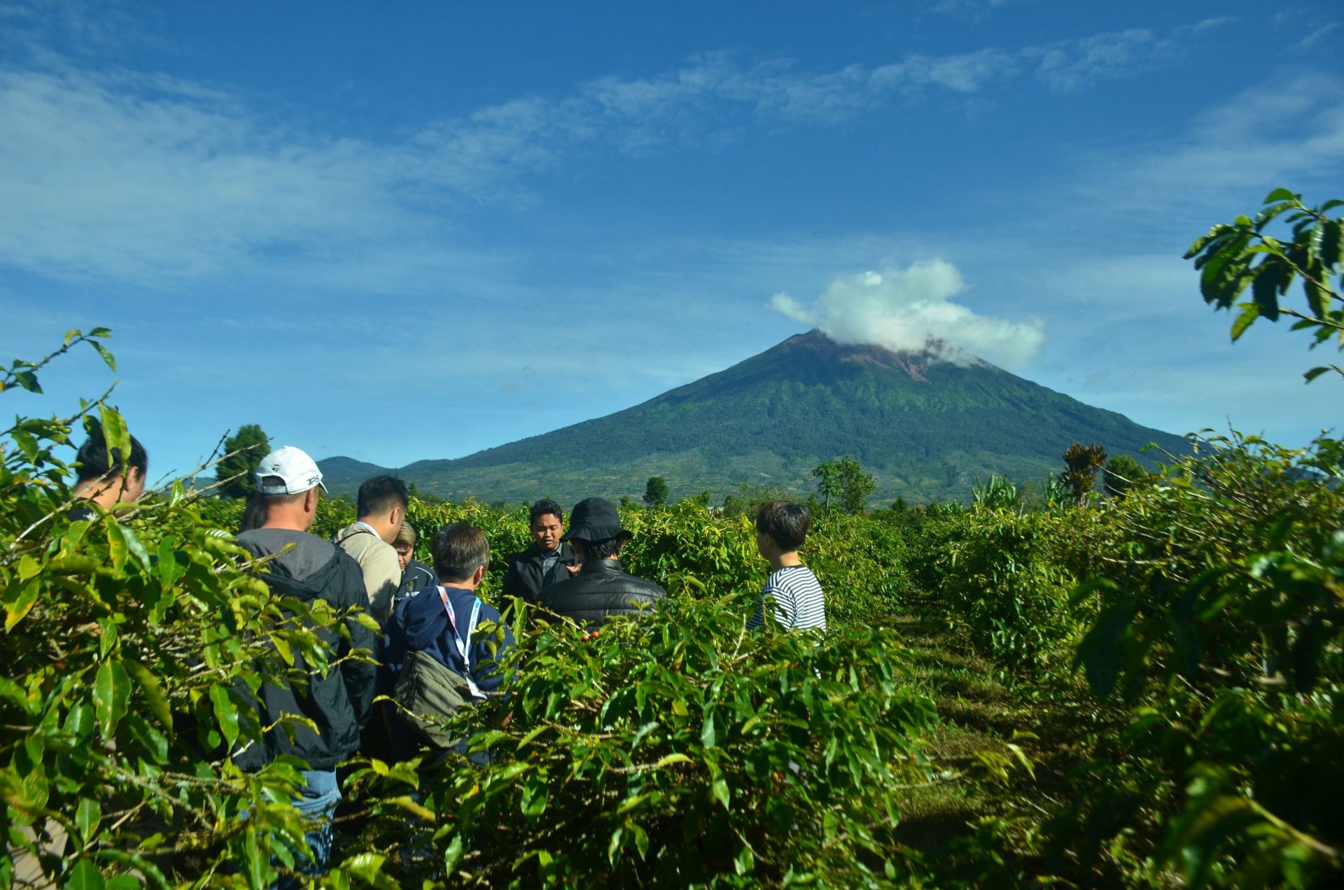 Workshop Peningkatan Kompetensi Industri Kopi di Malaysia dan Singapura: ALKO Sumatra Kopi Hadirkan Pelatihan Profesional Berstandar Internasional