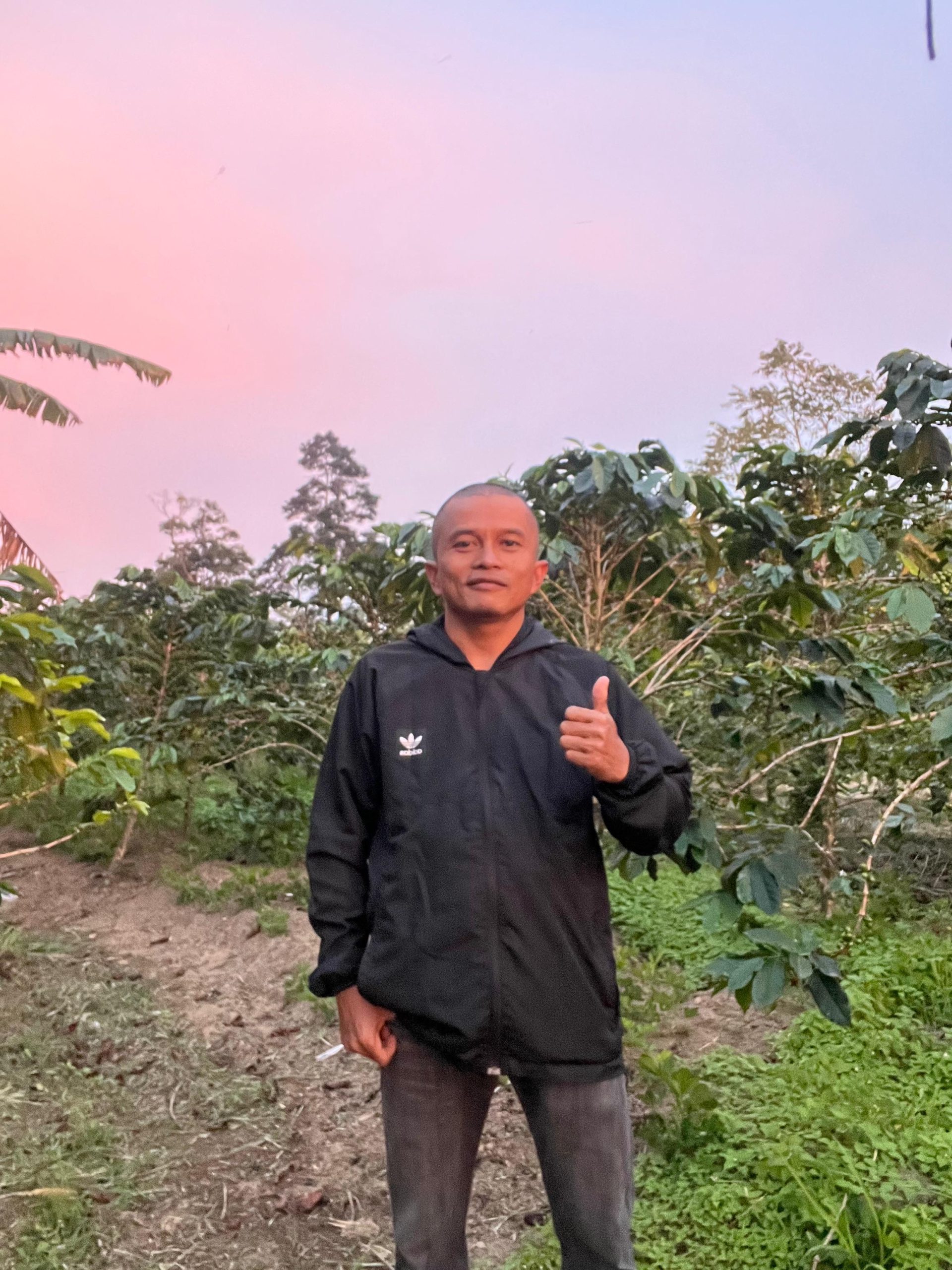Jejak Asli dari Lereng Marapi: Cerita Kopi Arabika Agam