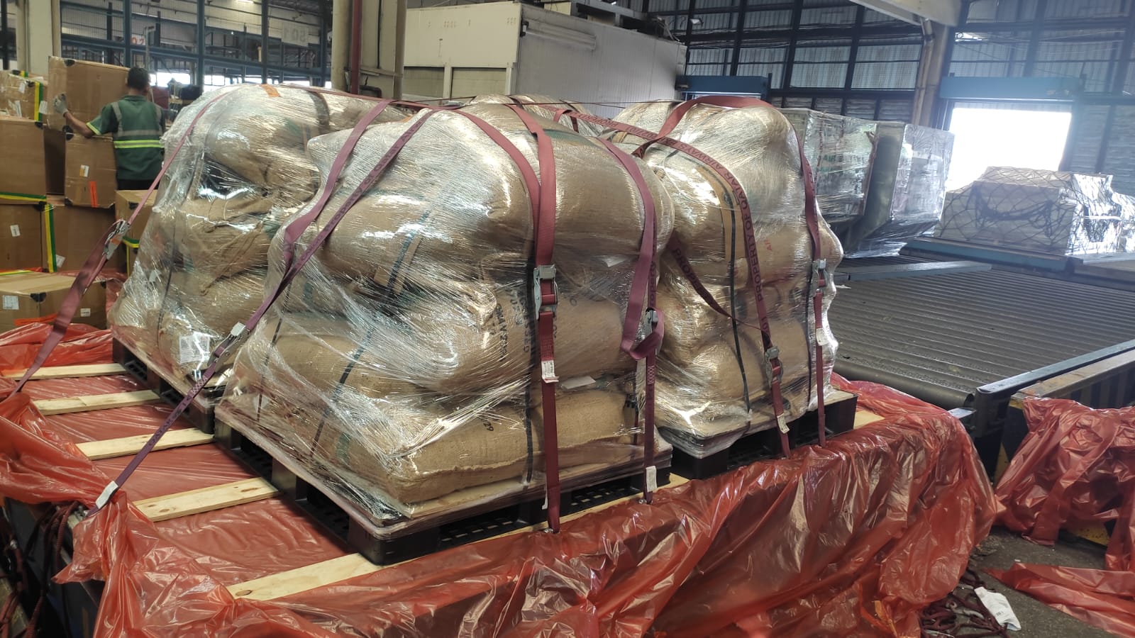 ALKO Kirim 10 Ton Kopi ke Oman via Udara, Biaya Logistik Lampaui Harga Produk
