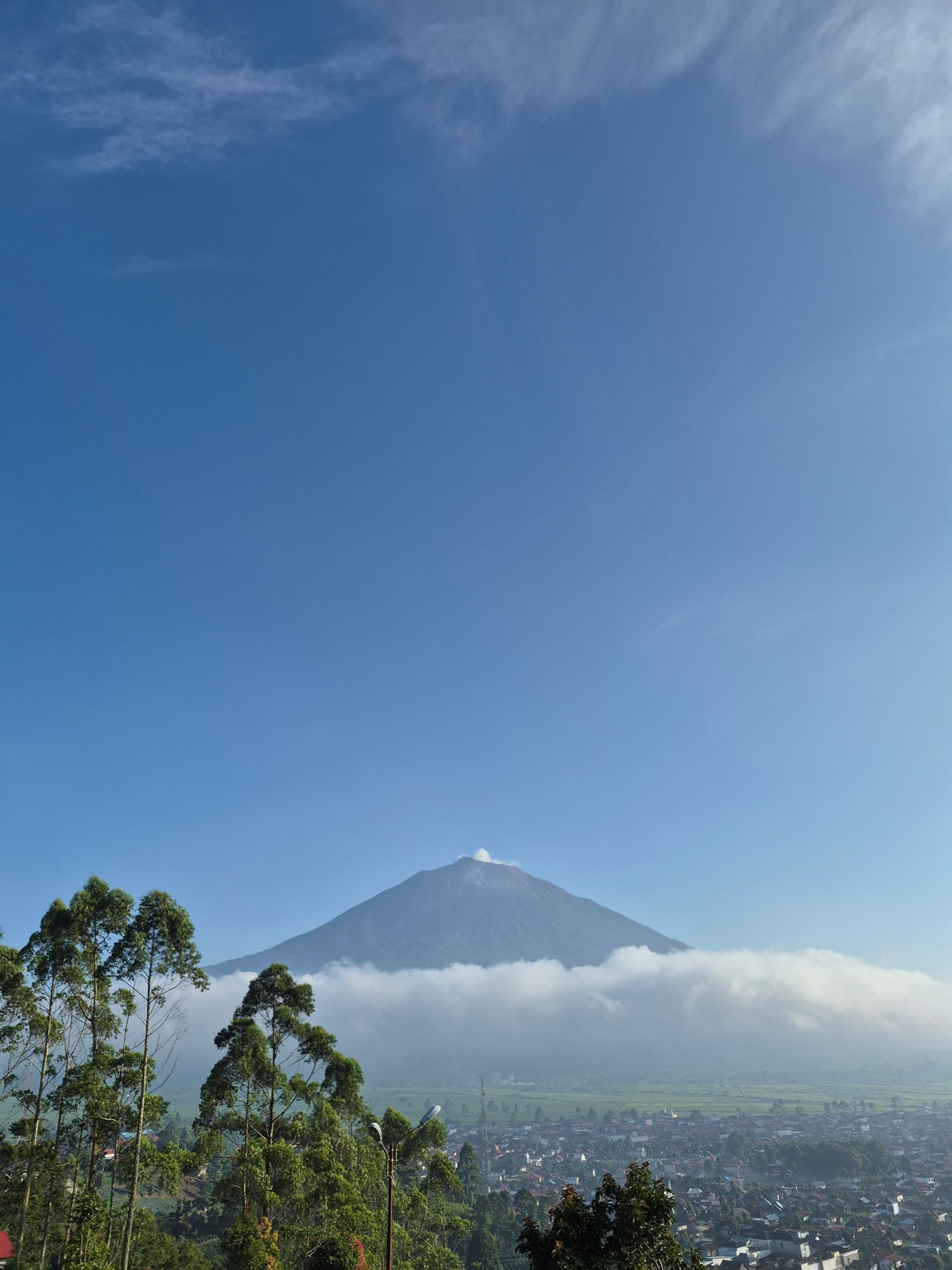 Festival Pesta Rakyat Petani Kopi Kayu Aro Kerinci 2026, Menguatkan Ekosistem Kopi dari Hulu hingga Hilir